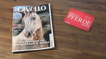 Die CAVALLO-Themen im Oktober