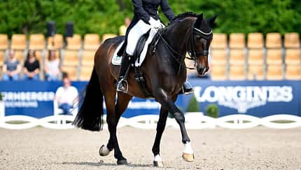 CAVALLO Eine Frage, drei Experten - Loben in der Prüfung, Dressurprüfung