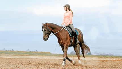 CAVALLO Kreativ kringeln, die Volte, Reiterin reitet Volte