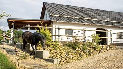 CAVALLO Der Traum vom eigenen Stall, Stallgebäude ist ein Neubau, schwarzes Pferde draußen davor