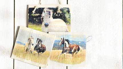 CAV Bastelecke Fotos auf Holz Aufmacher Artikel