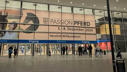 Das war die Passion Pferd