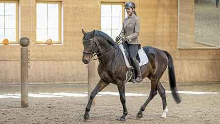 CAVALLO Gutes Reiten - So soll es aussehen, Vera Munderloh reitet auf braunem Pferd durch Reithalle