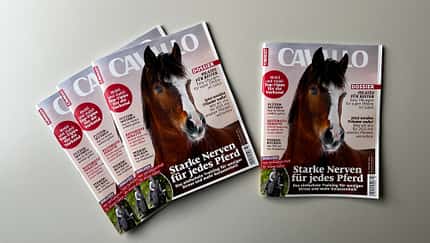 Cover CAVALLO-Ausgabe Februar 2025
