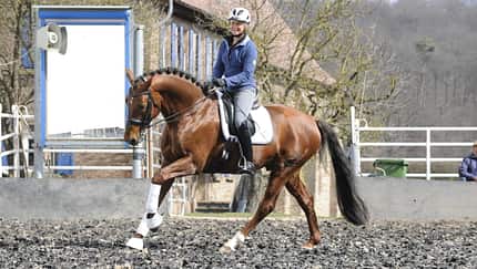 Uta Gräf mit einem braunen Pferd beim Training auf dem heimischen Reitplatz
