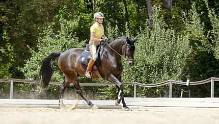 Eine Reiterin galoppiert mit ihrem Pferd auf dem Sandplatz