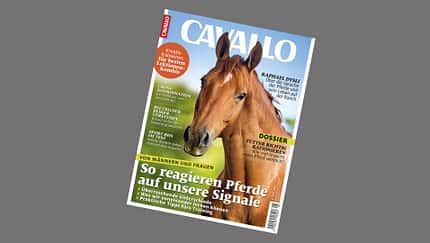 Die CAVALLO-Themen im Mai