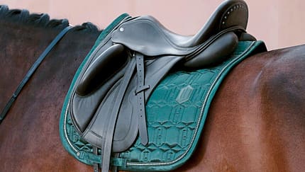 Eskadron-Schabracke unter einem Dressursattel auf dem Pferderücken