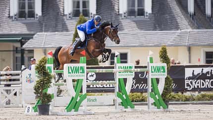 Das große Reitsport-Event in Herford