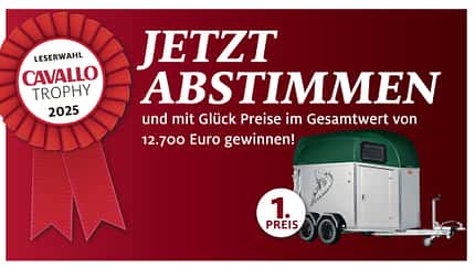 Mitmachen und gewinnen!