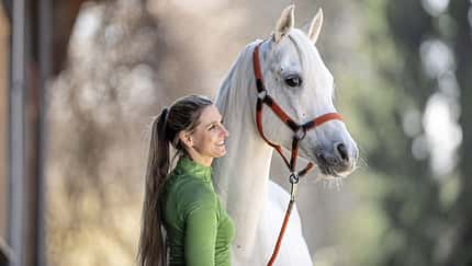 Working Equitation mit Stefanie Seebauer und Safi