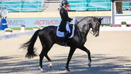 FEI European Championships Dressage 2023 - Andreas Helgstrand mit Jovian in der Dressurprüfung im Seitenprofil
