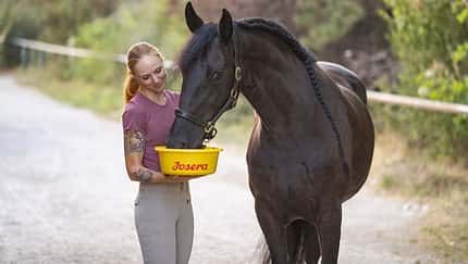Die passenden Nährstoffe für Pferde-Senioren