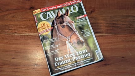 Die CAVALLO-Themen im August