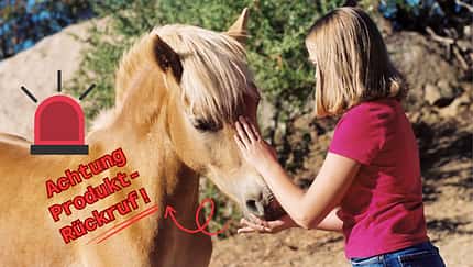 Ein Mädchen streichelt ein Pony am Kopf und füttert ihm ein Leckerli.