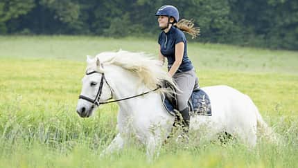 Eine junge Frau hat Spaß auf ihrem Schimmel im Galopp durchs Feld.