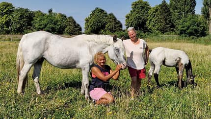 Stall und Umland der Reitanlage in Fehrbellin OT Wall.