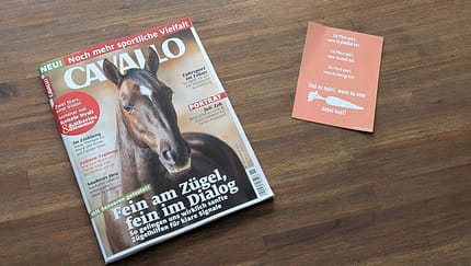 Hier sind die Themen der November-Ausgabe