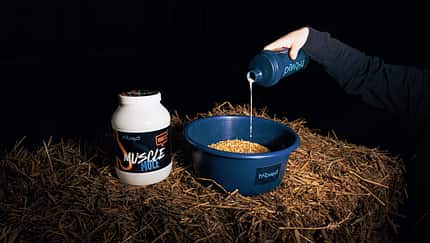 hooved, Pferdefutter, Zusatzfutter, Shake für Pferde, Supplements hooved Produkt-Palette