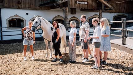 Stanglwirt, Mentaltraining, Mediation mit Pferden WATASHI – Wenn Pferde zu Spiegeln werden