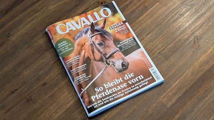 Hier sind die Themen der Dezember-Ausgabe