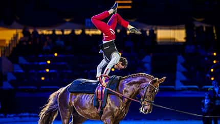 Der große Festhallen-Showabend