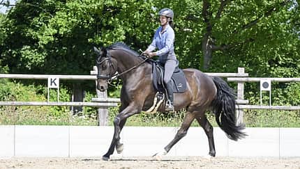 Eine Reiterin ist mit ihrem Pferd beim Dressurtraining im Flow.