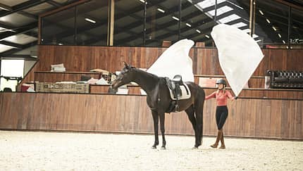 Yvet Blokesch, Fahnentraining, Bodenarbeit, Featherlight Academy, Fahnen Yvet Blokesch steht mit zwei Fahnen in der Luft hinter dem Pferd in der Halle