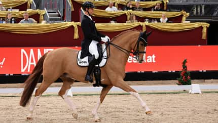 Benjamin Werndl in Salzburg mit Quick Decision im Dressurviereck