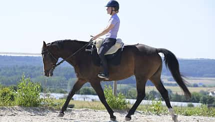 Die Reiterin sitzt ohne Steigbügel aus.