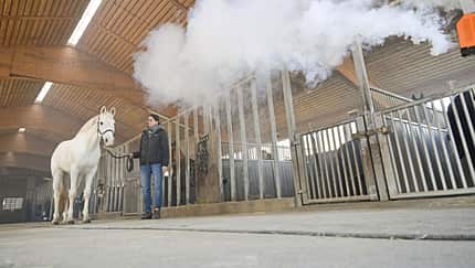 Verzieht sich der Nebel schnell, spricht das für einen guten Luftaustausch