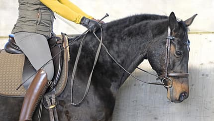 Brauner, Überstreichen, Hand vor, Dressur, Nase vor der Senkrechten Die Reiterin gibt die Hände vor.