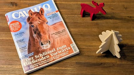 Hier sind die Themen der Januar-Ausgabe