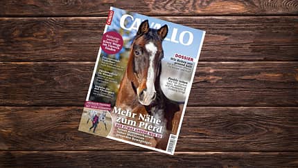 Hier sind die Themen der Februar-Ausgabe