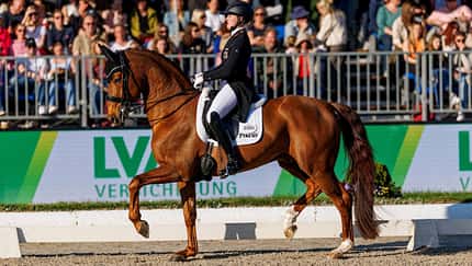 Katharina Hemmer, Horses and Dreams, Hof Kasselmann, Dressur, Dressursport, Fuchs, Dressurviereck, Dressurreiten, Dressurpferd Katharina Hemmer bei Horses & Dreams zum Nationenpreis: Der Hof Kasselmann in Hagen a.T.W. wird im WM-Jahr gleich zweimal zu einem wichtigen internationalen Treffpunkt des Dressursports.