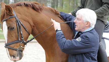 Martin Plewa erklärt, wie eine gute Anlehnung funktioniert.
