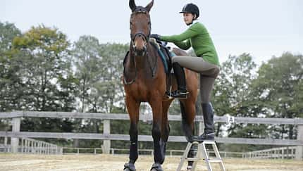Wann ist ein Jungpferd bereit fürs erste Aufsitzen?
