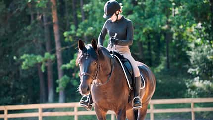 Eine Frau auf ihrem Pferd bereitet sich auf ihre Reitstunde vor