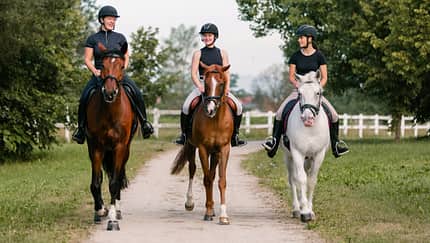 Drei Mädchen reiten mit ihren Pferden einen Trail entlang.