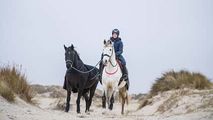 Vielseitigkeitsreiterin Julia Mestern lebt in Dänemark und hält ihre Pferde im Offenstall.