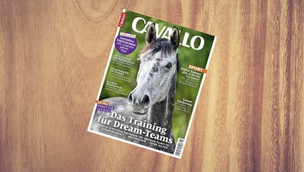 Die April-Ausgabe 2026 ist da!