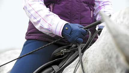 Nahaufnahme auf die Reiterhand mit Gertenführung