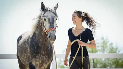 Horsemanship hat sich in den letzten 30 Jahren extrem gewandelt.