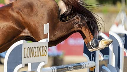 Sicherheitsauflage, Schelle, Sprungständer, Springen, Parcours, Longines, CWD, Streichkappen Nahaufnahme auf die Hinterbeine eines Pferdes über dem Sprung