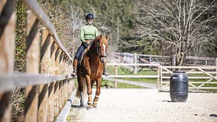 Stefanie Seebauer im Schulterherein mit ihrem Pferd an der langen Seite des Reitplatzes