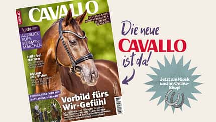 Collage CAVALLO Cover August-Ausgabe 2026
