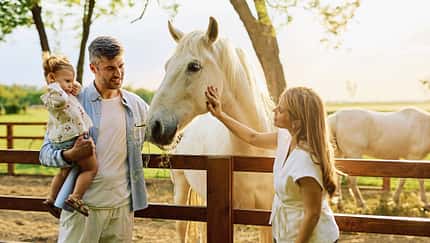 Familie, Pferd, Bauernhof, Sonnenuntergang, Landleben, Kind, Stute, Familienidylle, Natur, Tierbegegnung Eine Familie mit einem kleinen Mädchen interagiert mit einem weißen Pferd auf einem Bauernhof bei Sonnenuntergang. Die Szene zeigt eine emotionale Bindung zwischen den Familienmitgliedern und dem Tier in ländlicher Umgebung.