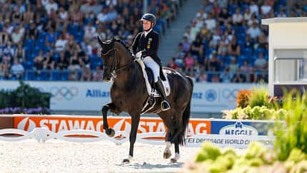 WERTH Isabell (GER), Wendy de Fontaine, Dressur, Dressage, Reitstadion Soers, Aachen, Reiten, Reitsport, Equestrian, Reit-WM, FEI World Dressage Championship, Grand Prix Special, Impression, Impressionen, Szene, Kiss and Cry AACHEN - FEI World Championships 2026: Isabell Werth mit Wendy de Fontaine im Grand Prix Special