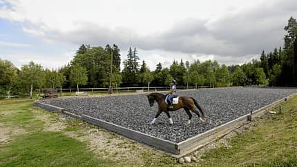 Reitplatz mit Reiterin auf Pferd, Außenaufnahme, Dressurviereck mit dunklen Teppichflocken, umgeben von Bäumen.