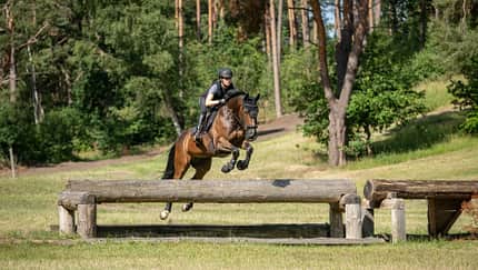 Julis Eventer, Juliane Wyrwol, Vielseitigkeit, Geländespringen, Cross-Country, Reitsport, Pferd, Reiterin, Naturhindernis, Baumstammhindernis, Reithelm, Sicherheitsweste Das Foto zeigt eine Reiterin in der Disziplin Vielseitigkeit, die mit ihrem Pferd auf einer Geländestrecke ein Baumstammhindernis überspringt. Sichtbar sind Reithelm und Sicherheitsweste, das Naturhindernis aus Rundhölzern sowie die offene Wiesen- und Waldumgebung eines Cross‑Country-Parcours.